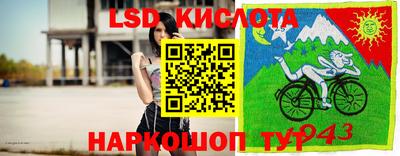 шишки Славянск-на-Кубани