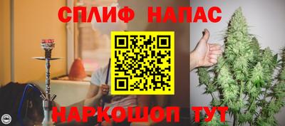 шишки Славянск-на-Кубани